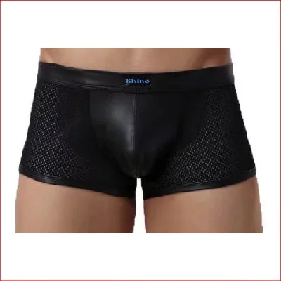 Mens Mesh Boxer w WetLook Pouch Large